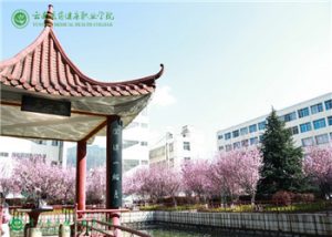 云南医药职业学院2021年五年制大专都有什么专业