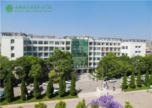 云南医药健康职业学院2021年五年制高职招生网址