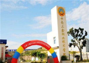 云南三鑫学院2021年五年制大专招生地点