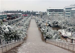 昆明卫生职业学院2021年五年制大专有什么专业