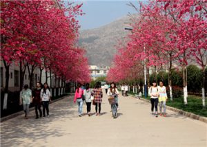 云南医药职业学院2021年五年一贯制大专招生学费